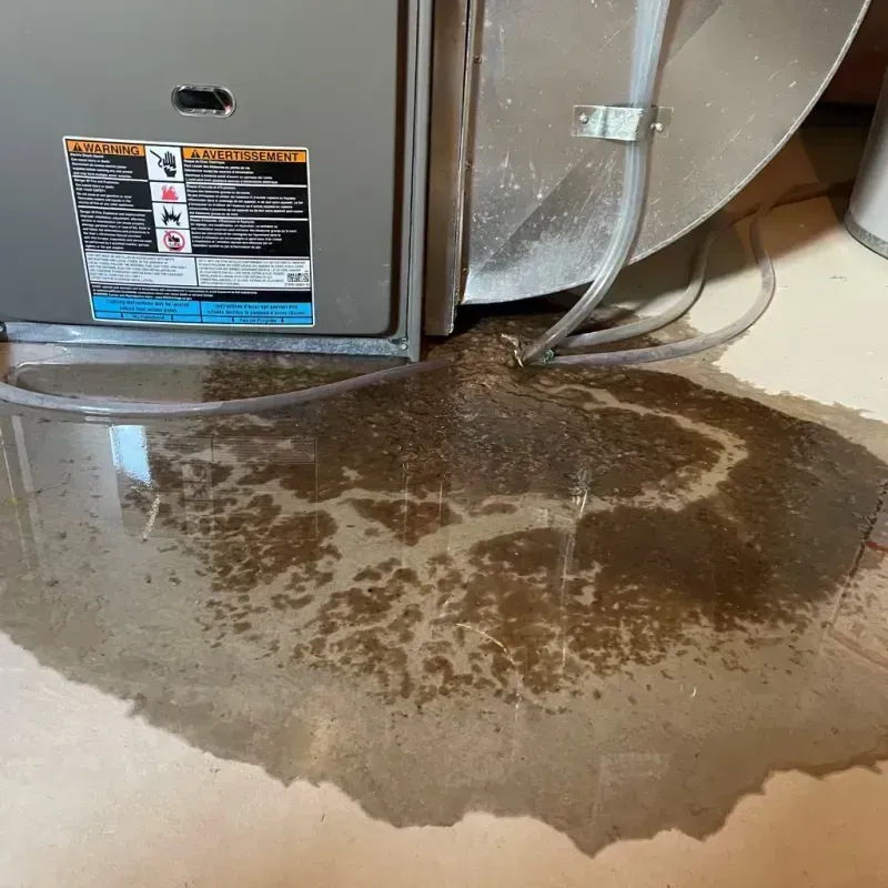 Appliance Leak Cleanup in Sewaren, NJ